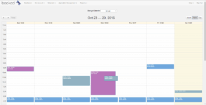 Calendar views